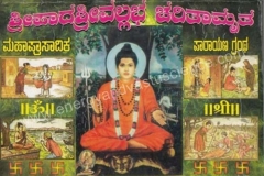 Shripadashrivallabha-charitamritha