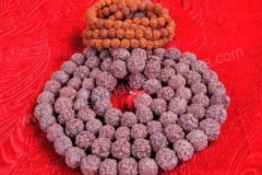 Rudraksha-beads